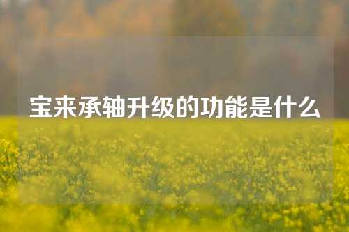 寶來承軸升級(jí)的功能是什么