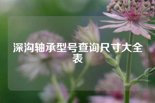 深溝軸承型號查詢尺寸大全表