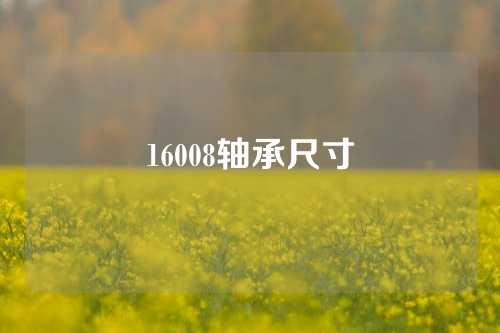 16008軸承尺寸