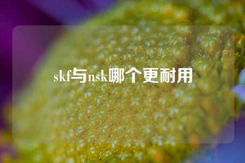 skf與nsk哪個(gè)更耐用