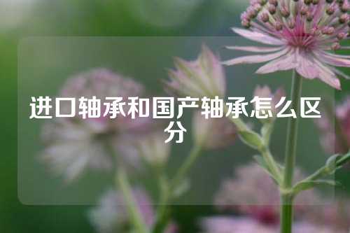 進(jìn)口軸承和國(guó)產(chǎn)軸承怎么區(qū)分