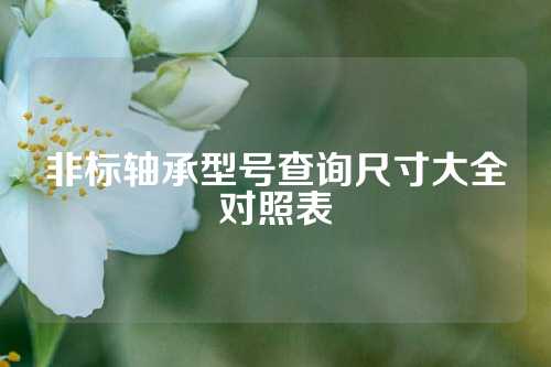 非標(biāo)軸承型號查詢尺寸大全對照表