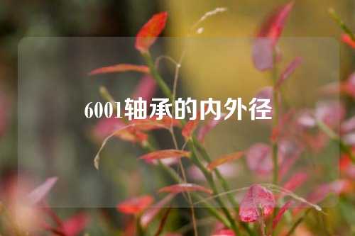 6001軸承的內外徑