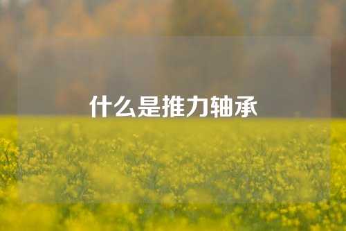 什么是推力軸承