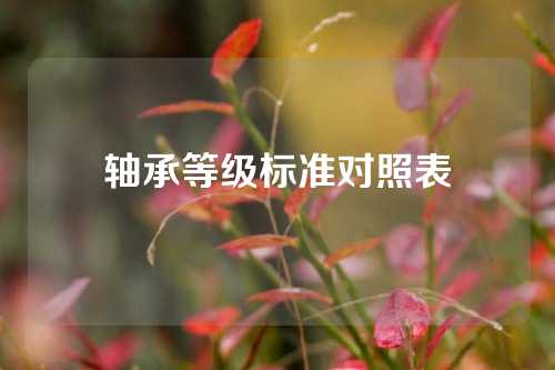 軸承等級(jí)標(biāo)準(zhǔn)對(duì)照表