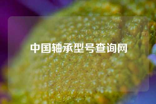 中國軸承型號查詢網(wǎng)