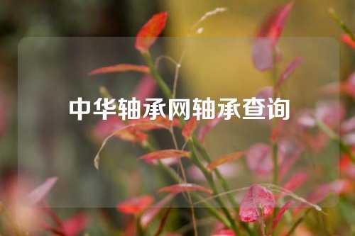 中華軸承網(wǎng)軸承查詢