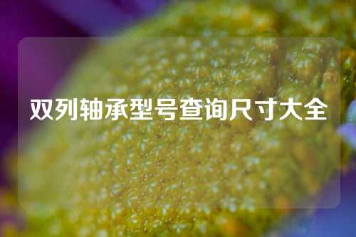 雙列軸承型號(hào)查詢尺寸大全