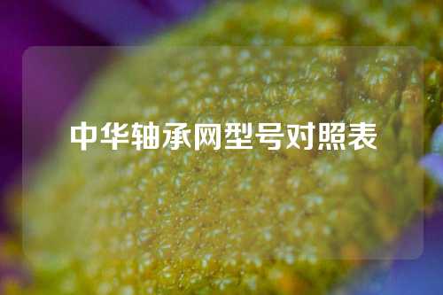 中華軸承網(wǎng)型號對照表