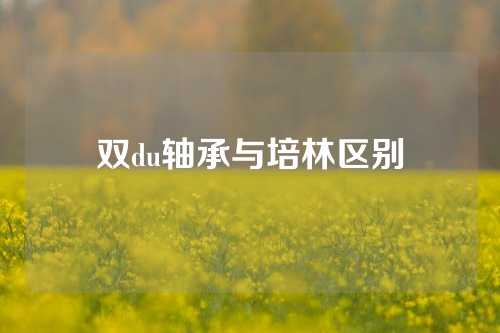 雙du軸承與培林區(qū)別