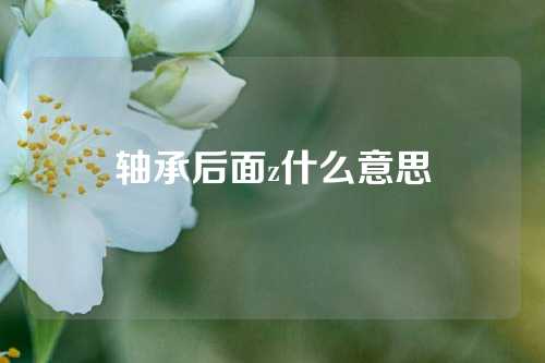 軸承后面z什么意思