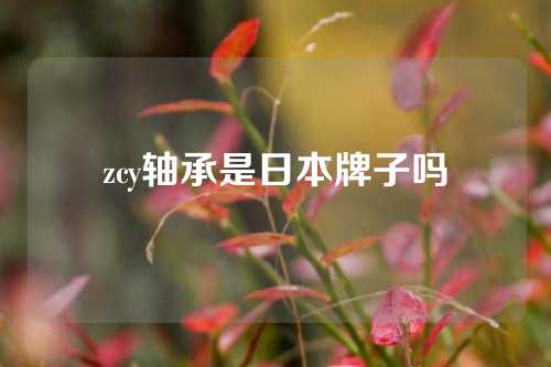 zcy軸承是日本牌子嗎