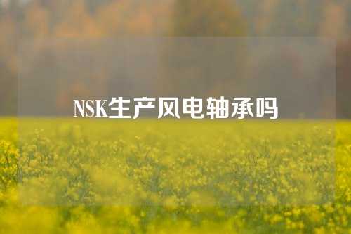 NSK生產(chǎn)風(fēng)電軸承嗎