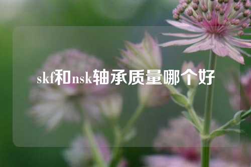 skf和nsk軸承質(zhì)量哪個(gè)好