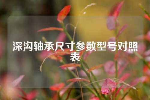 深溝軸承尺寸參數(shù)型號(hào)對(duì)照表