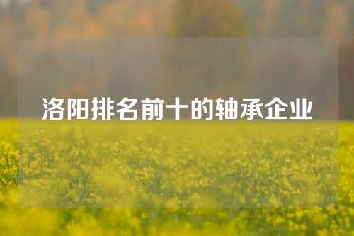 洛陽排名前十的軸承企業(yè)