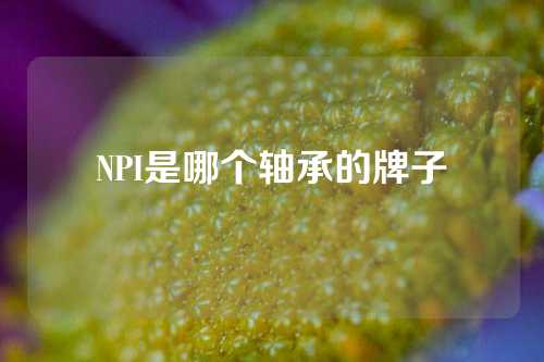 NPI是哪個(gè)軸承的牌子