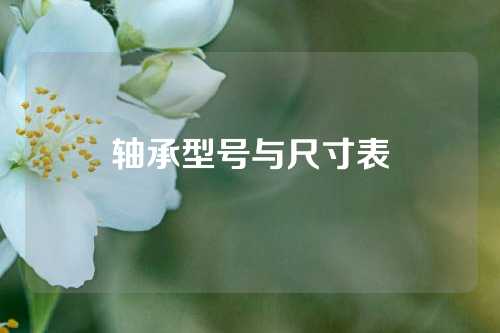 軸承型號與尺寸表