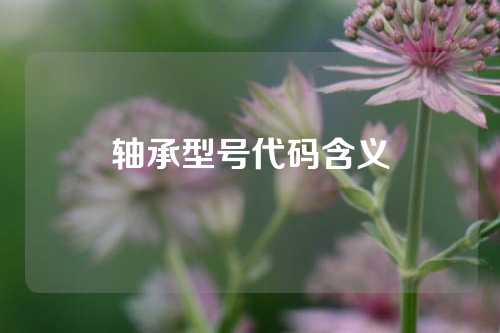 軸承型號(hào)代碼含義