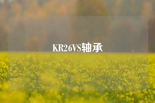 KR26VS軸承