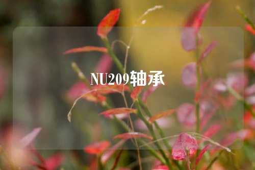 NU209軸承