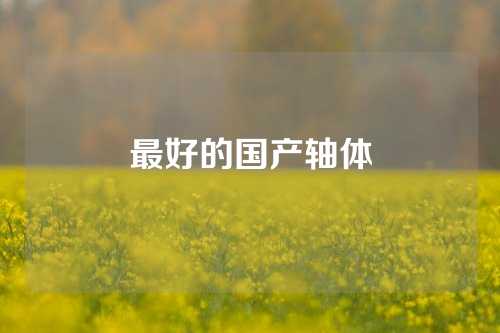 最好的國(guó)產(chǎn)軸體