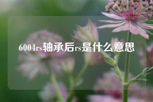 6004rs軸承后rs是什么意思