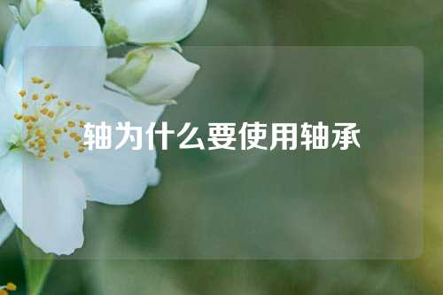 軸為什么要使用軸承