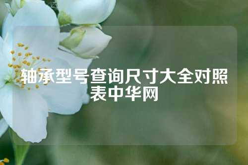 軸承型號查詢尺寸大全對照表中華網(wǎng)