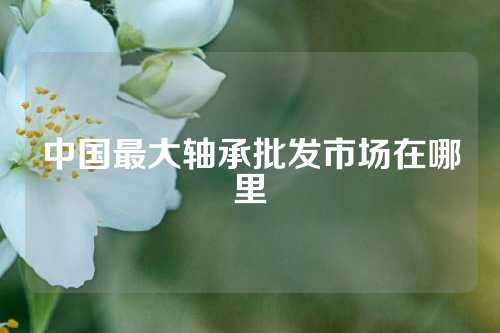 中國(guó)最大軸承批發(fā)市場(chǎng)在哪里