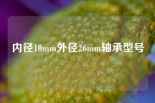 內(nèi)徑10mm外徑26mm軸承型號(hào)