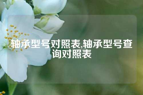 軸承型號對照表,軸承型號查詢對照表