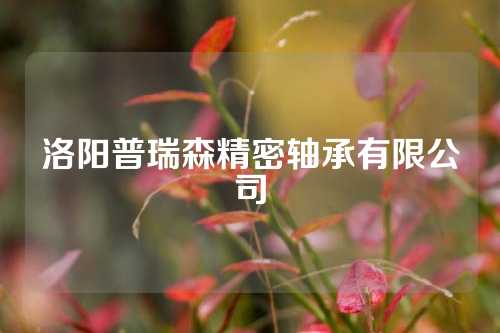 洛陽普瑞森精密軸承有限公司