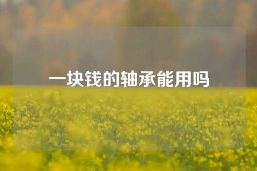 一塊錢的軸承能用嗎