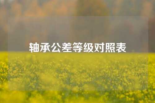 軸承公差等級對照表