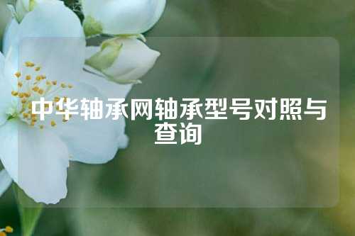 中華軸承網(wǎng)軸承型號對照與查詢