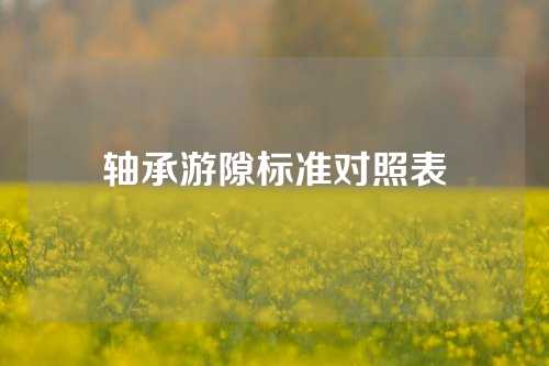 軸承游隙標(biāo)準對照表