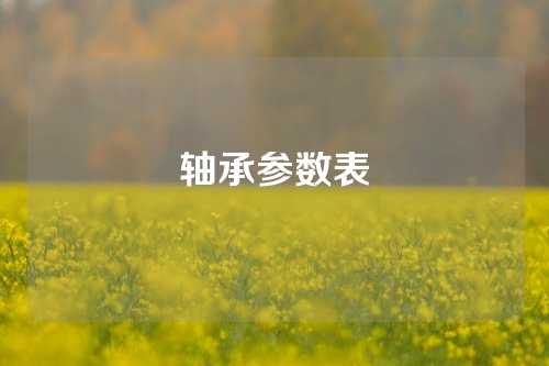 軸承參數(shù)表