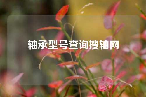 軸承型號查詢搜軸網(wǎng)