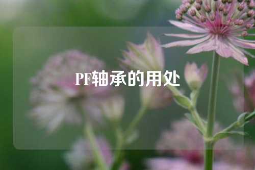 PF軸承的用處