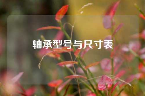 軸承型號與尺寸表