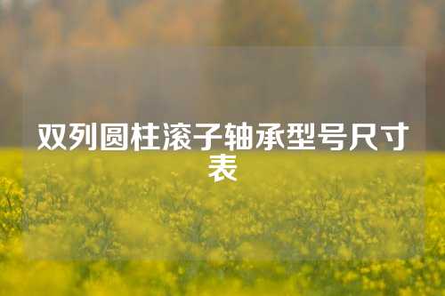 雙列圓柱滾子軸承型號尺寸表