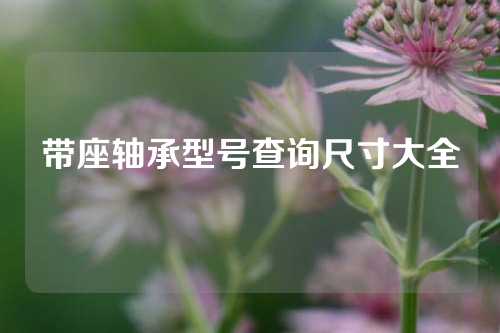 帶座軸承型號(hào)查詢尺寸大全