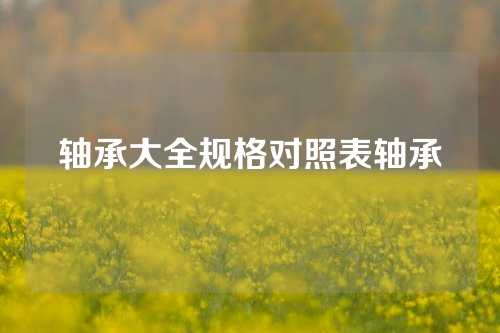 軸承大全規(guī)格對照表軸承