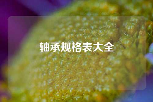 軸承規(guī)格表大全