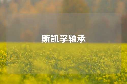 斯凱孚軸承