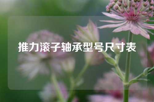 推力滾子軸承型號(hào)尺寸表