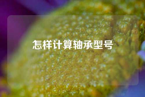 怎樣計算軸承型號