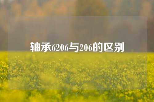 軸承6206與206的區(qū)別