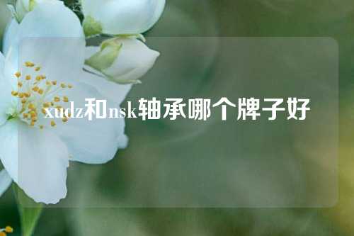 xudz和nsk軸承哪個(gè)牌子好